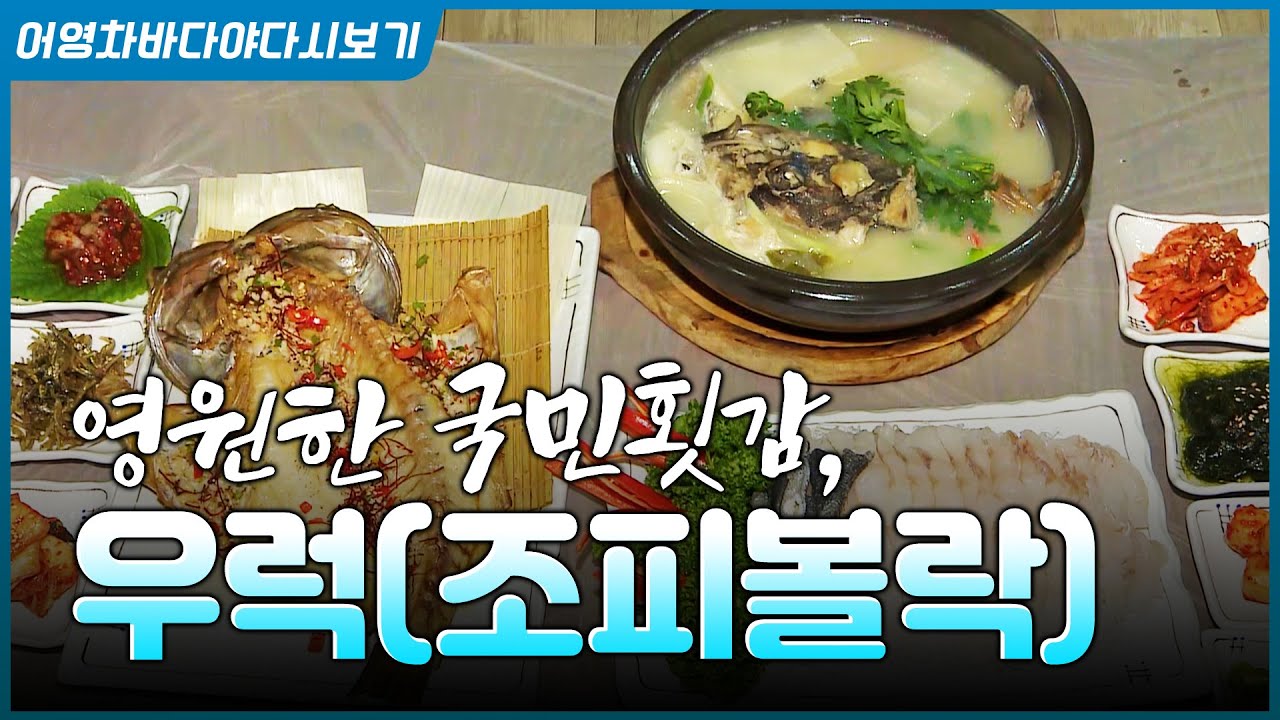 회 이야기 할 때 이놈이 빠지면 섭하죠~ 국민 횟감 우럭 #바다 #회 #생선 #우럭회 #우럭 #조피볼락