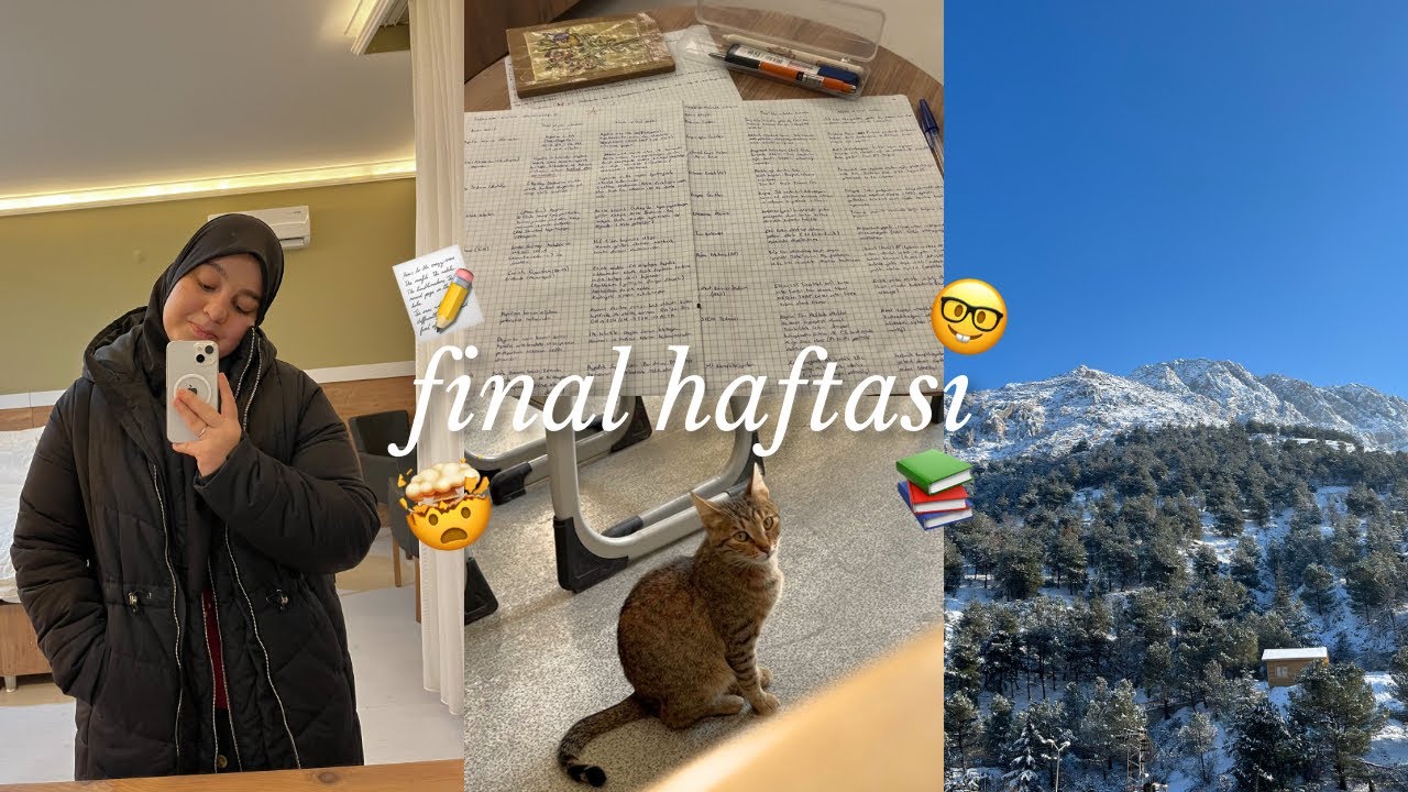 Sürekli bişeyleri bildiğimi kanıtlamaktan da çok sıkıldım📝🤯 