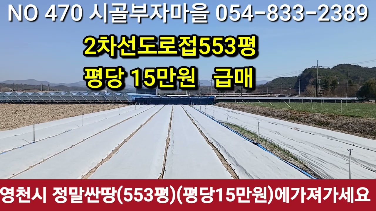 #영천싼땅 553평평당15만원에가 져가세요#2차선도로가 급매물건임 #영천싼땅 #구미싼땅 #경북싼땅 #안동싼땅 #영천싼땅#영천좋은땅