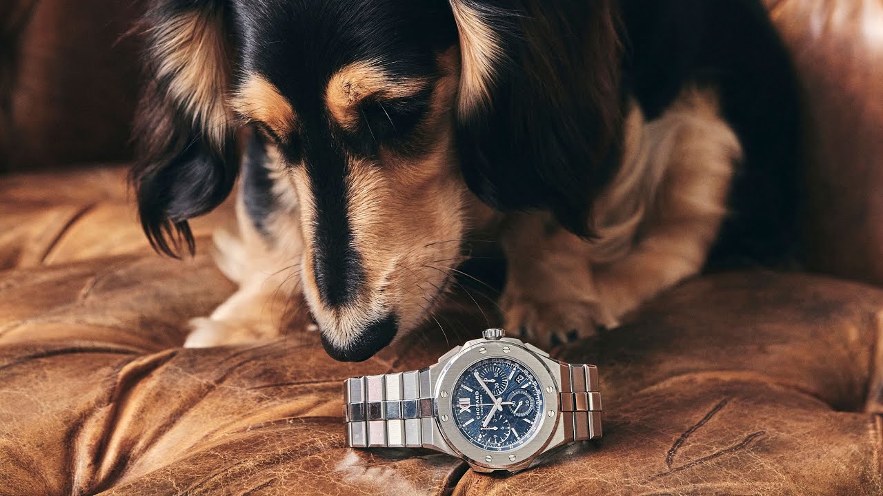 Bandit and Wei Koh’s Chopard Alpine Eagle XL Chrono