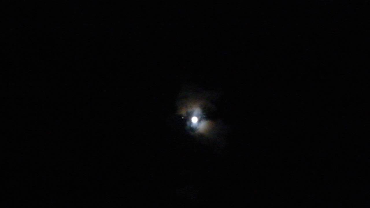 moonwind