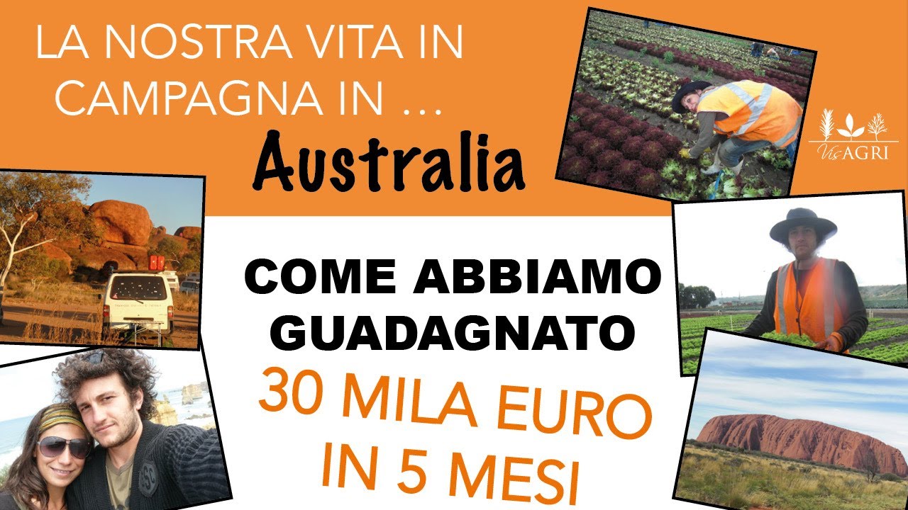 Come abbiamo guadagnato 30 MILA € lavorando nelle Farm - Il viaggio in Australia che ci ha cambiati