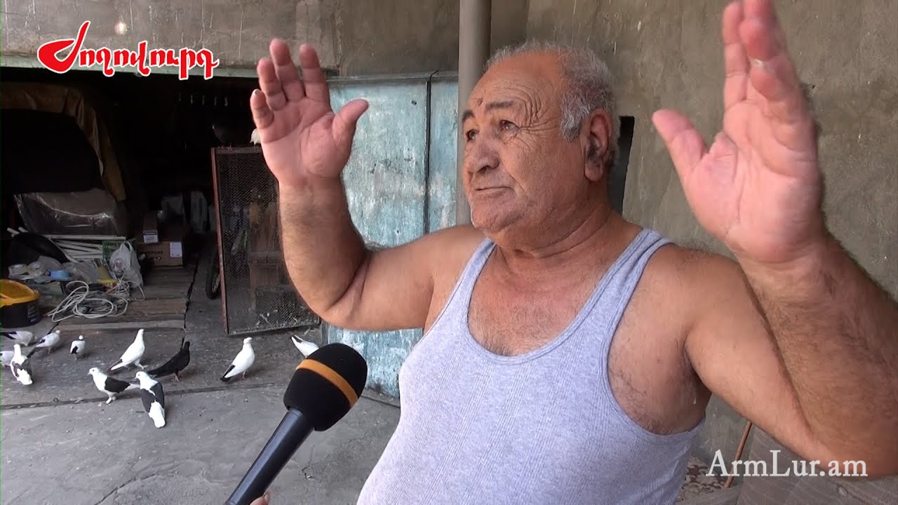 Ծիվ-ծիվը ֆռում ա, որ աղավնին թռցնես խփի ու տանի. աղավնի պահողը՝ թռչունի մասին