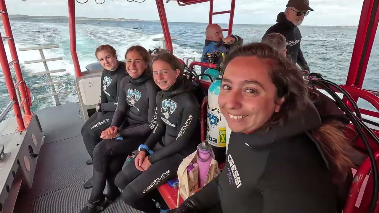 Diving - Popes Eye   14 Jan 2024