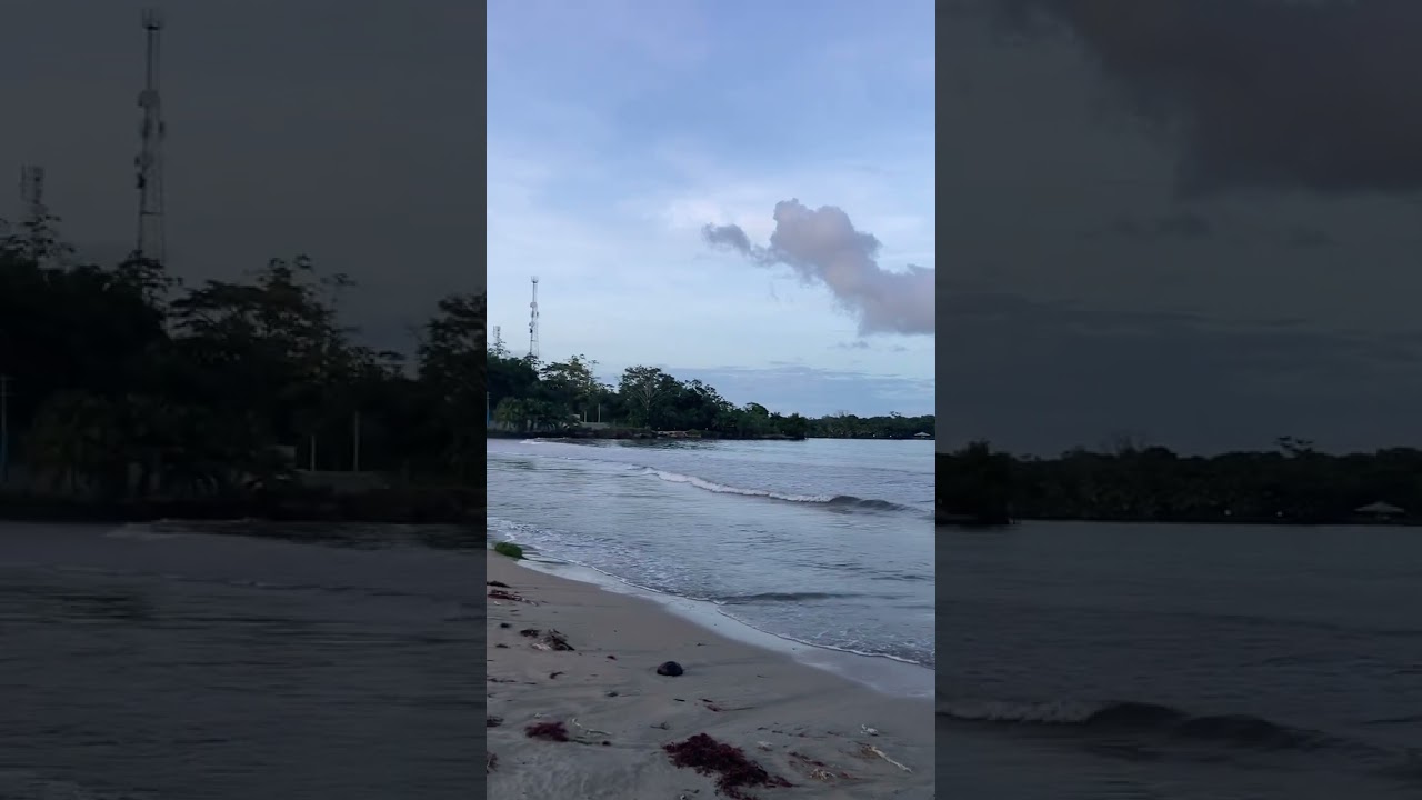 Birds flying at Istmito Beach,  Bocas del Toro, Panama イストミトビーチにて飛んでいる鳥、ボカス・デル・トロ、パナマ