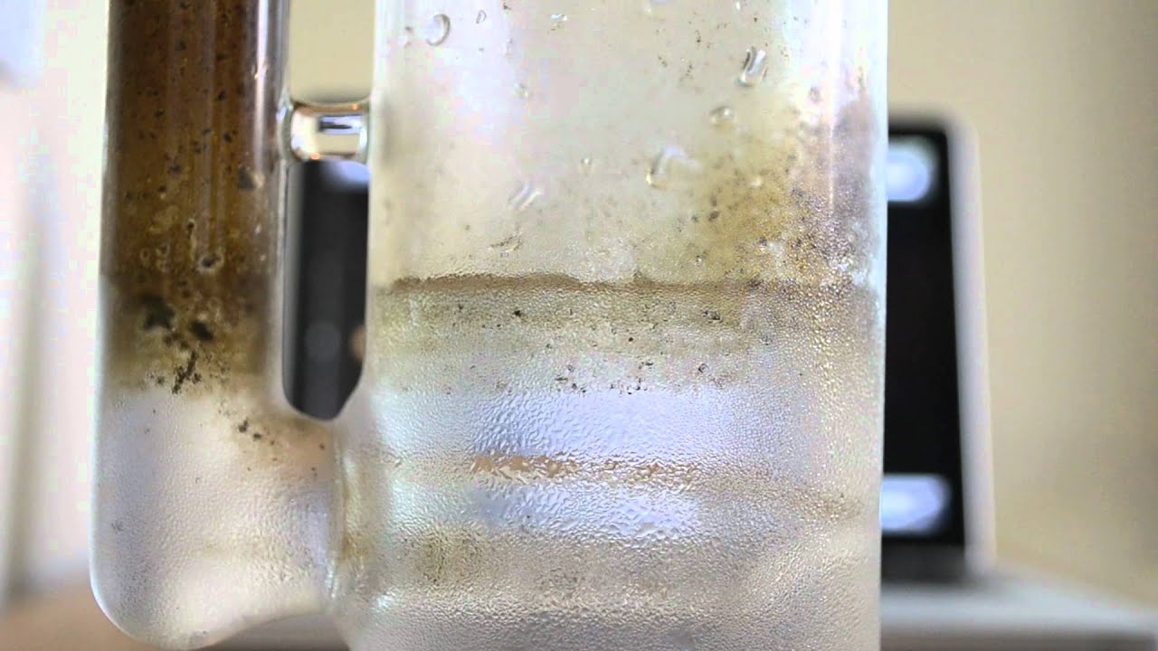Sovereignty King Stemline milk 1080p HD