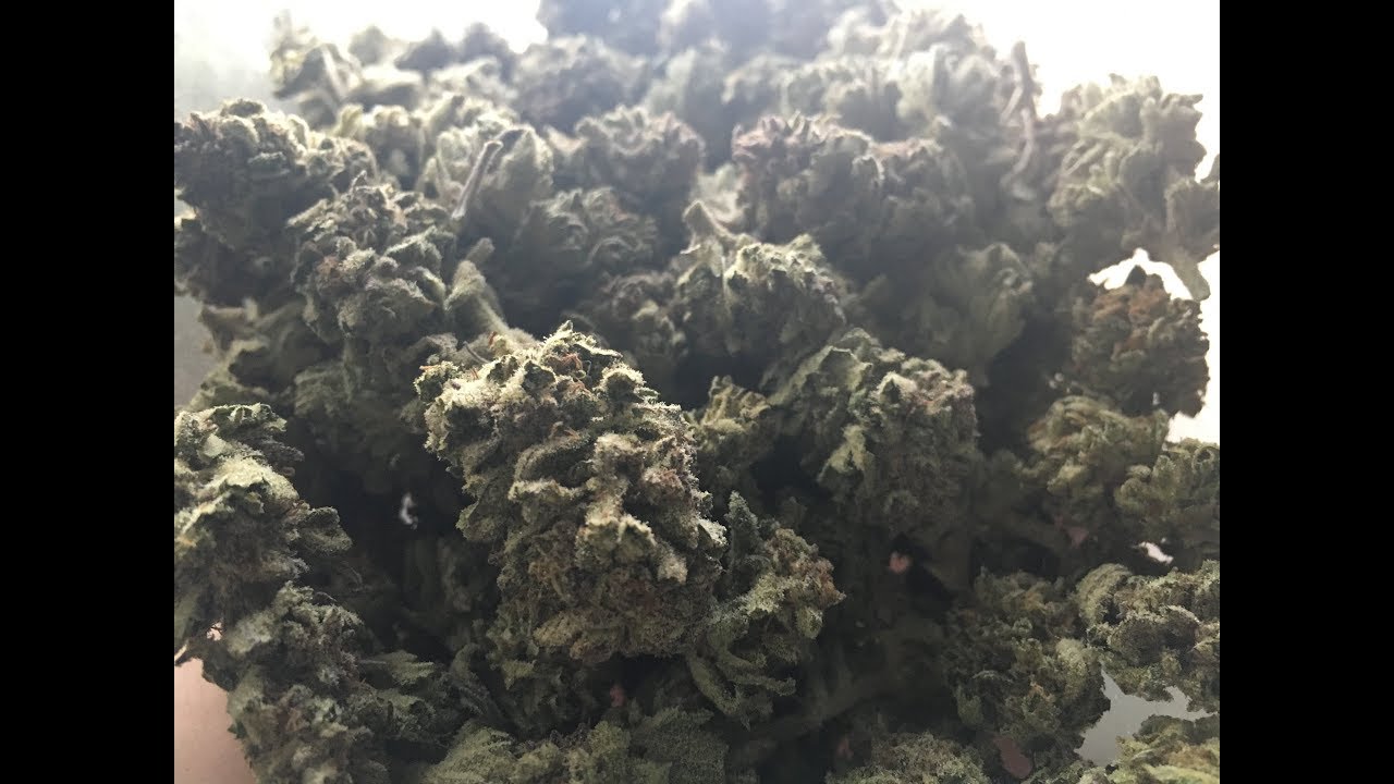 Berry White HomeGrown Strain Review & Smoke Sesh