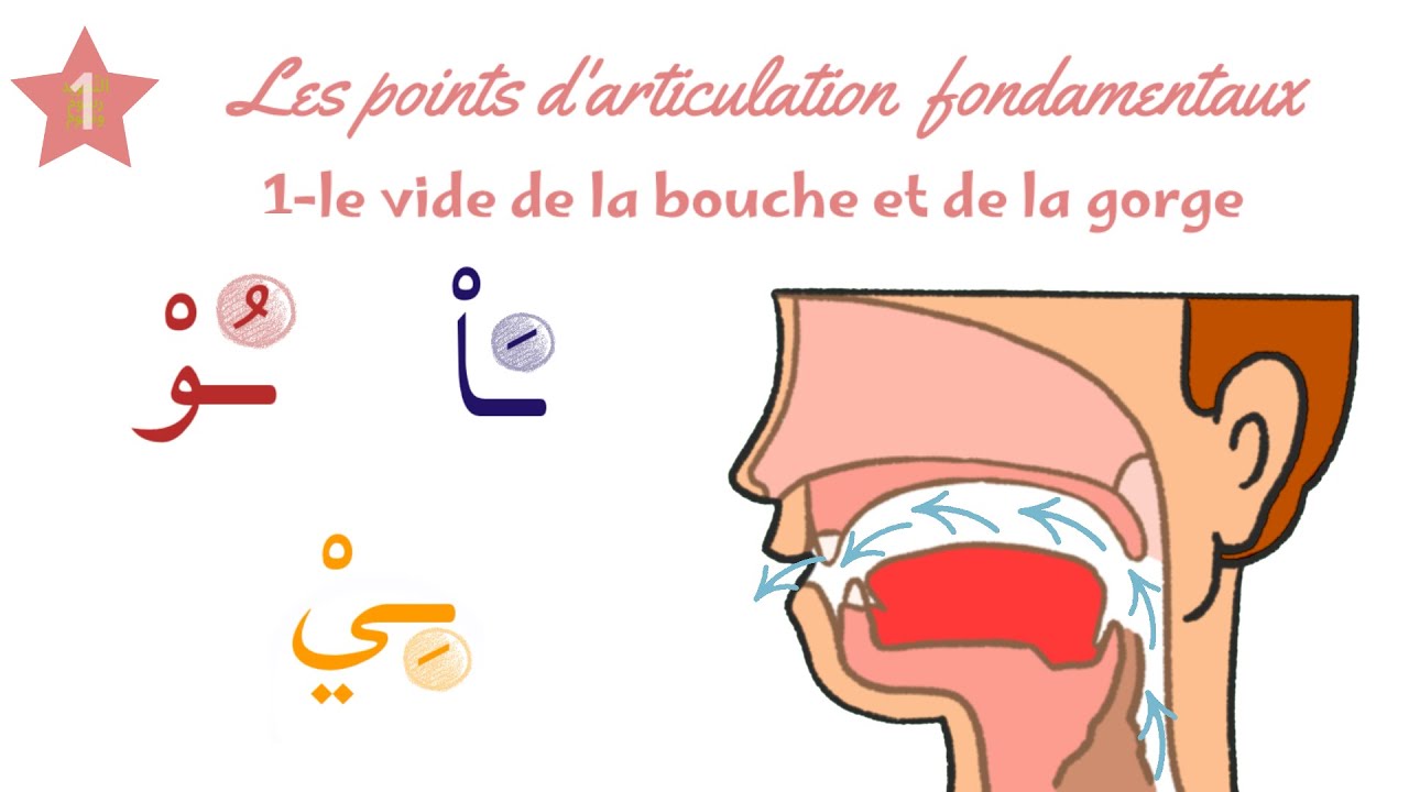 (23) Les points d'articulation et les traits distinctifs des lettres [1] Al-Jawf