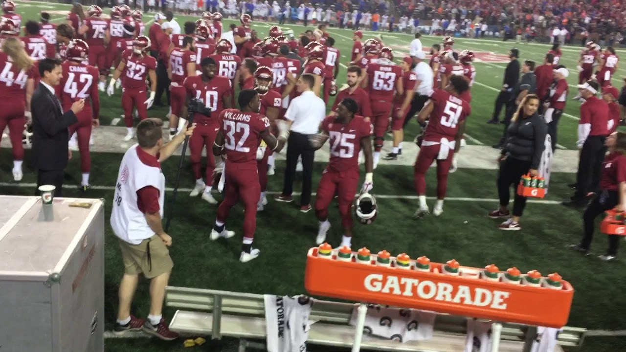 2017 WSU vs Boise St. Game Winning Touchdown + Celebration