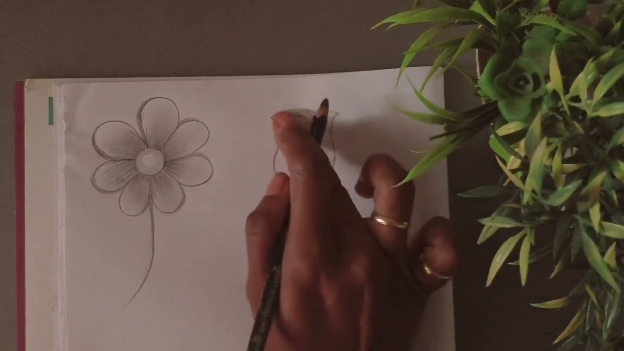 Class-11 basic drawing, basic shading techniques of drawing, flower shading 
