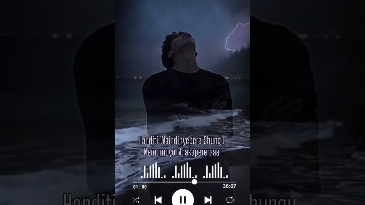 WANGU MUNYAMA-LYRICAL VISUALISER(COVER by AI)