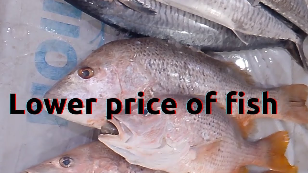 Lower Price of fish 