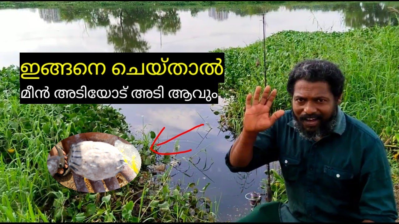 Best fishing bite | Malayalam fishing video letest