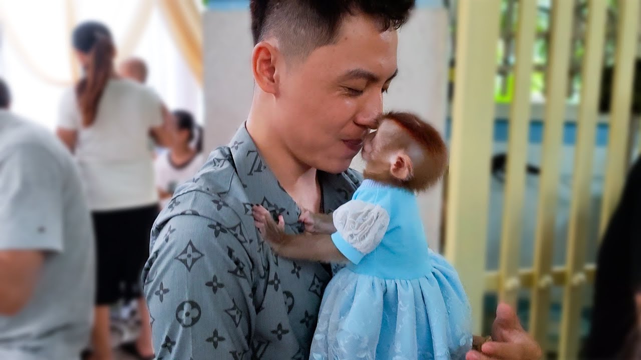 Monkey KaKa is so happy to go to a party with her family