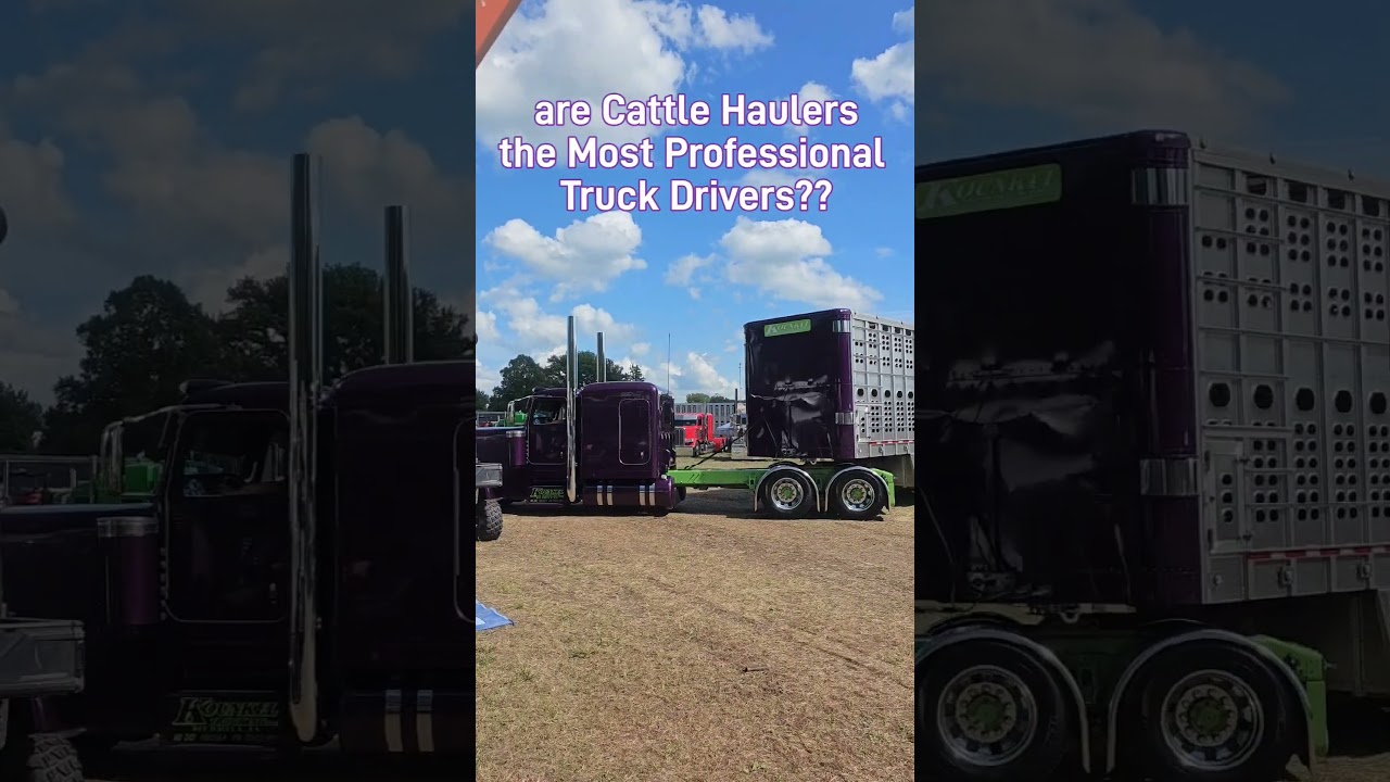 Cattle Haulin Pro🐮😎