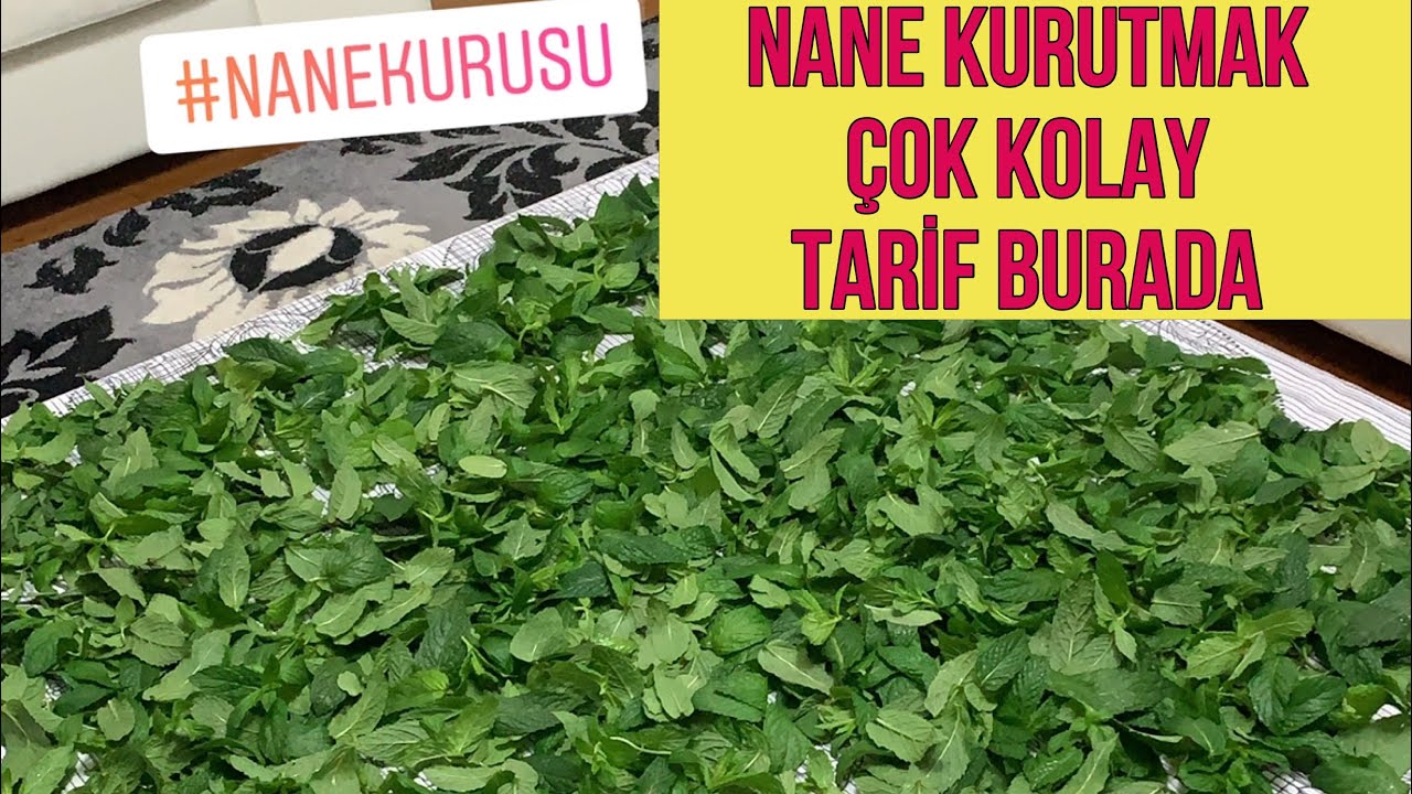 evde kuru nane nasıl yapılır / nane kurutma tarifi / kuru nane yapmanın tüm detayları 🌿🌿🌿