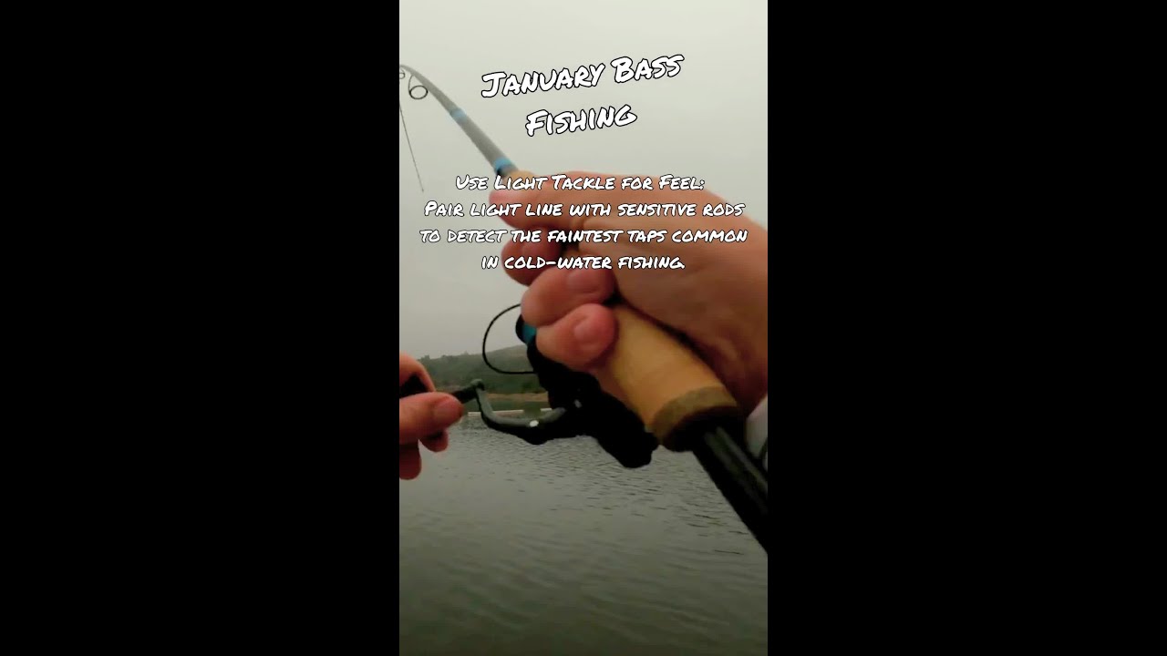 January Bass Fishing Tips #29