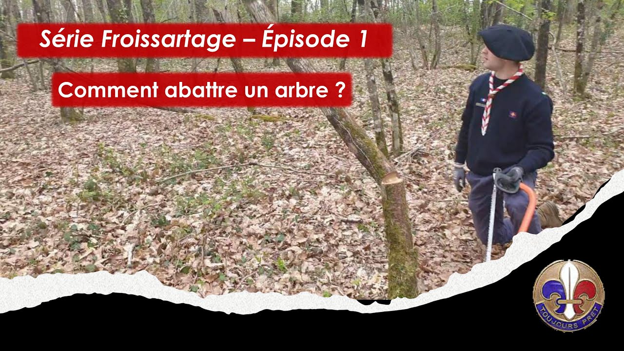 Froissartage - Épisode 1 -  Comment abattre un arbre ?