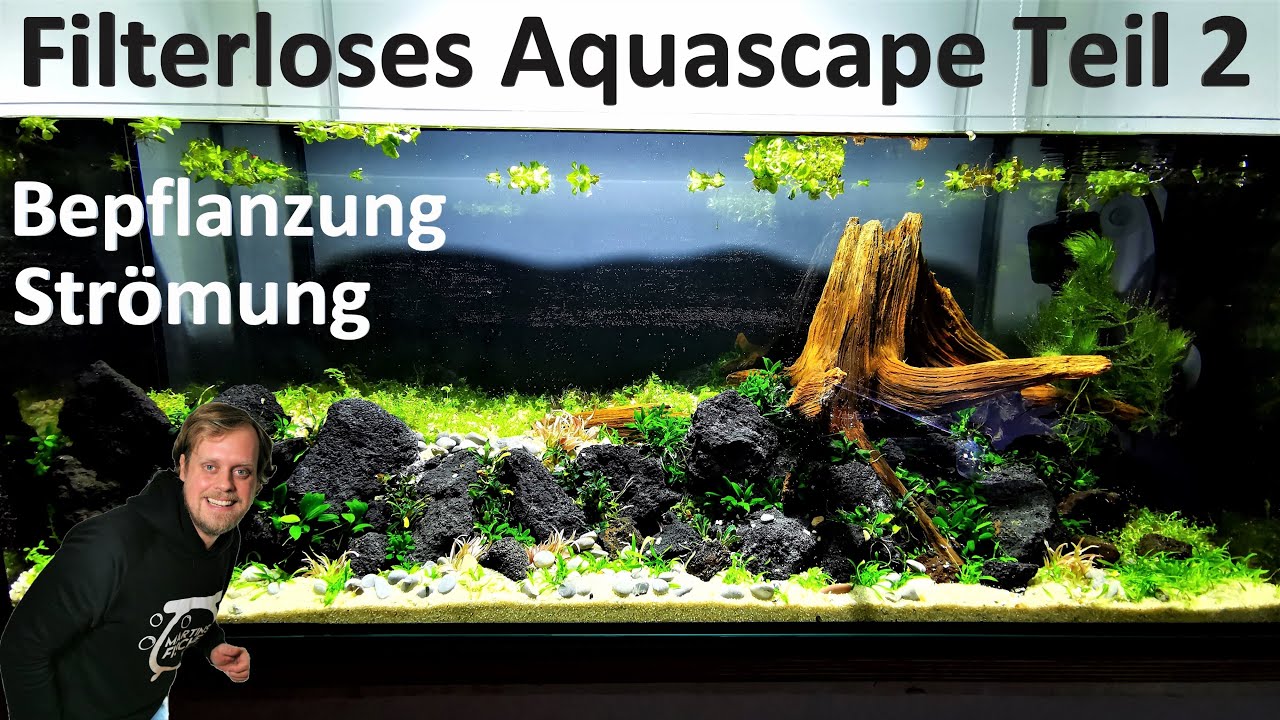 FILTERLOSES AQUASCAPE Teil 2 - Bepflanzung und Wasserbewegung