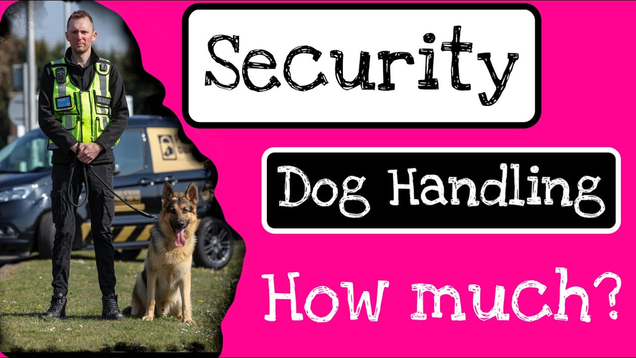 SECURITY DOG HANDLING - How Much??