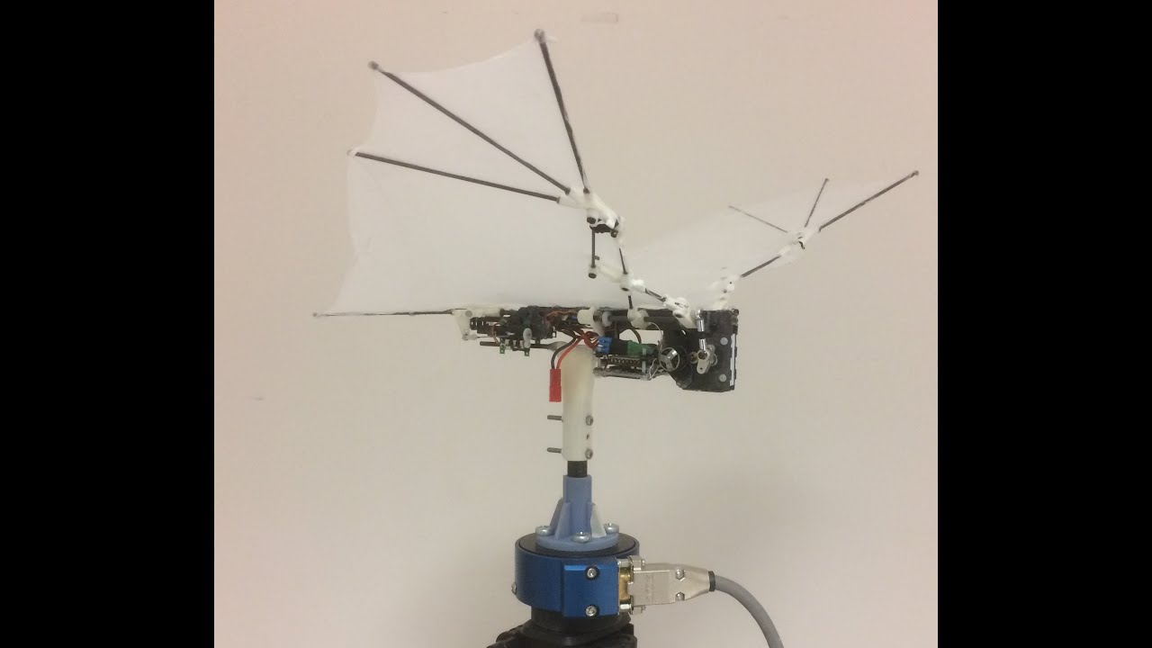 IROS 2019: Trajectory planning for a bat-like flapping wing robot