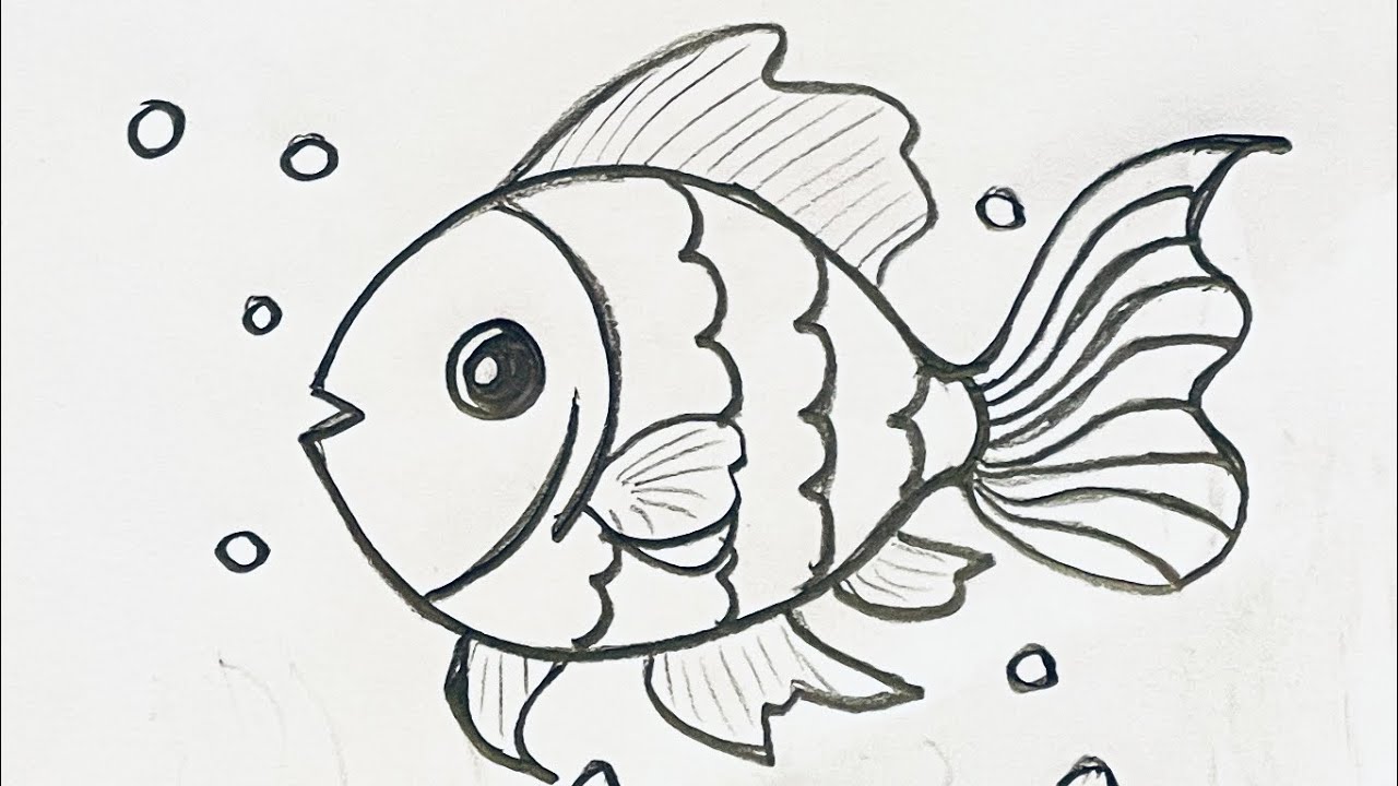 How to draw fish with pencil