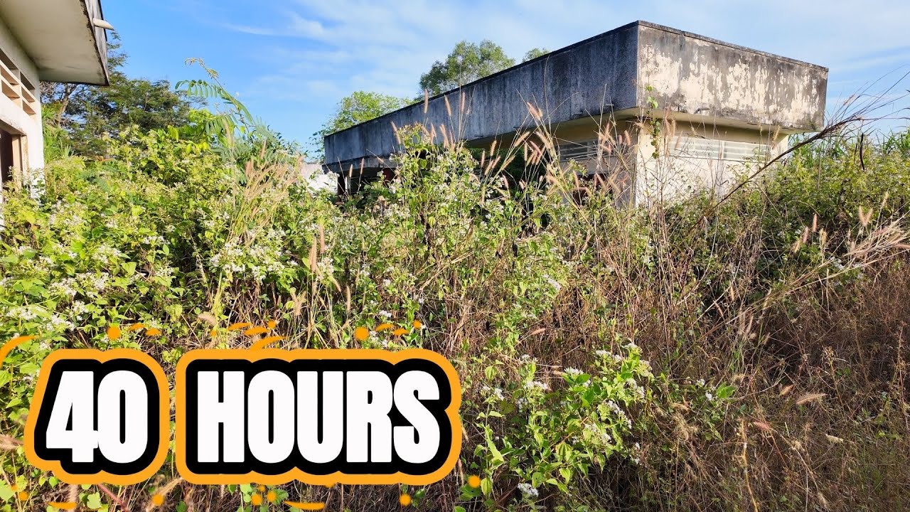 TIME LAPSE – 40 HOURS Transforming an Abandoned House Back to Life
