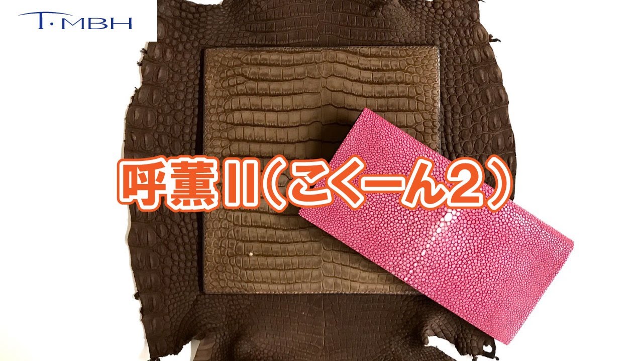 呼薫Ⅱ