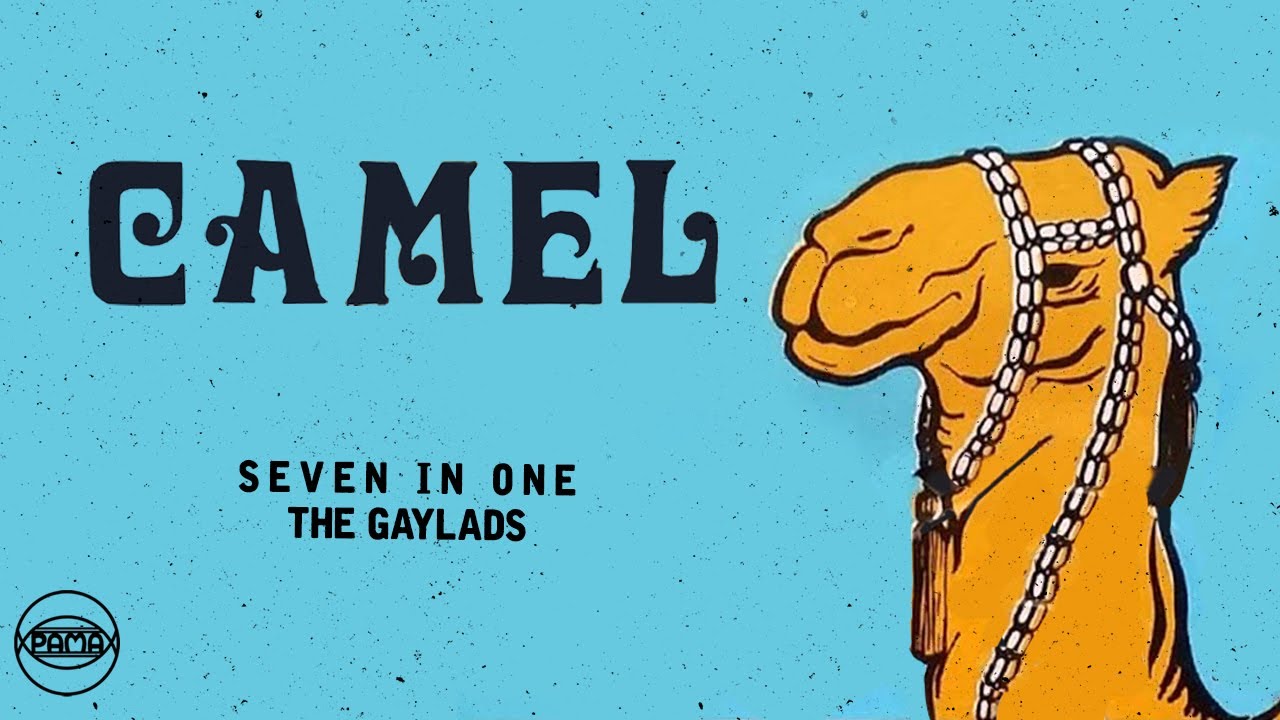 The Gaylads - Seven in One (Official Audio) | Pama Records
