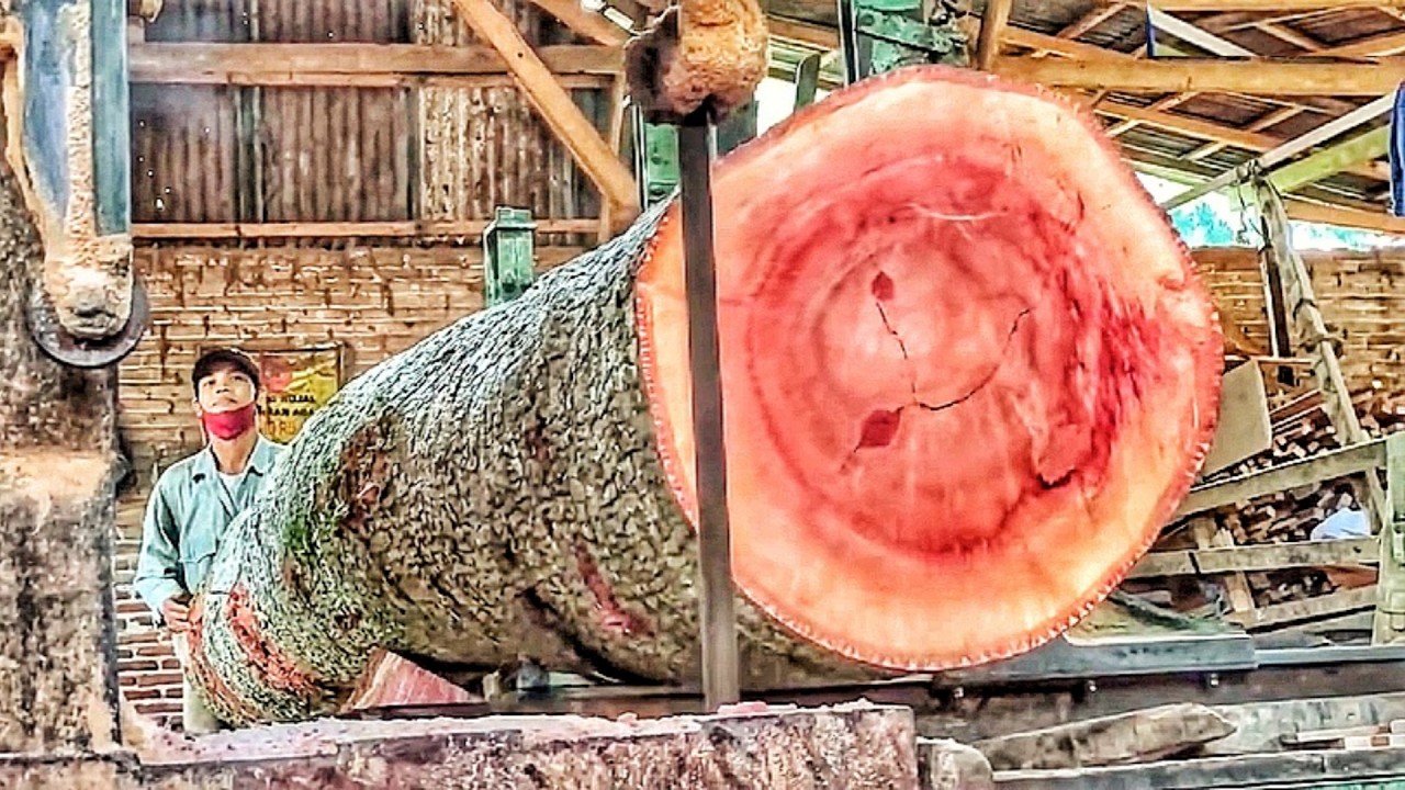 Sawing Twisted Timber: The Wild Ride of Cutting Super-Bent Wood! 🌲⚙️