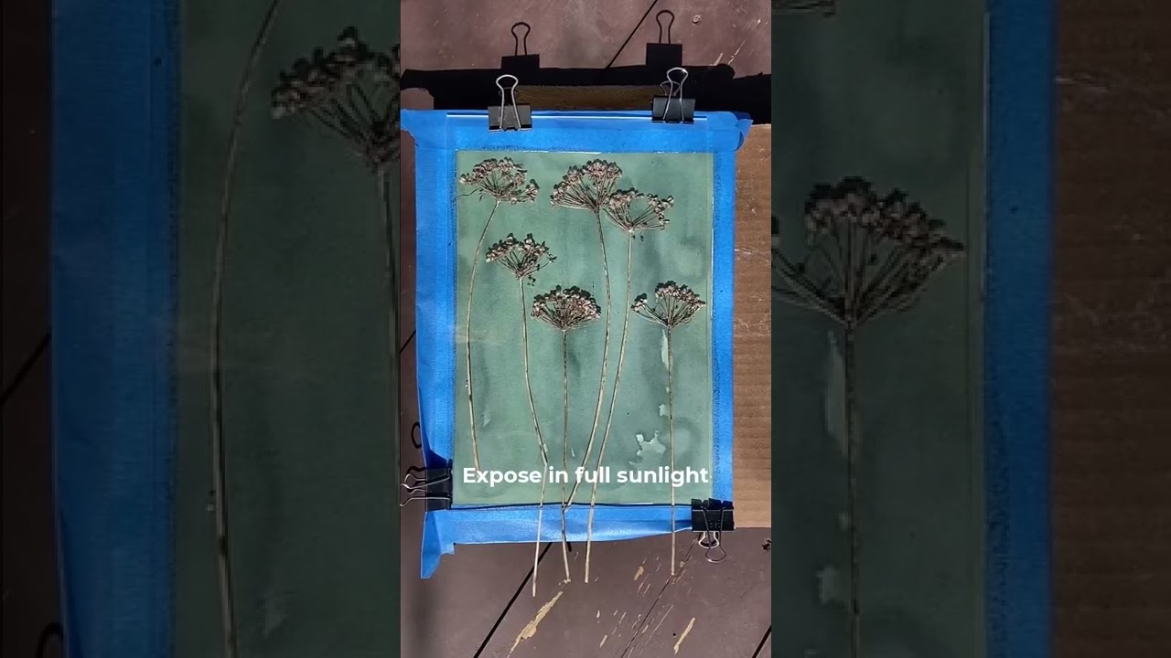 How To Make a Cyanotype