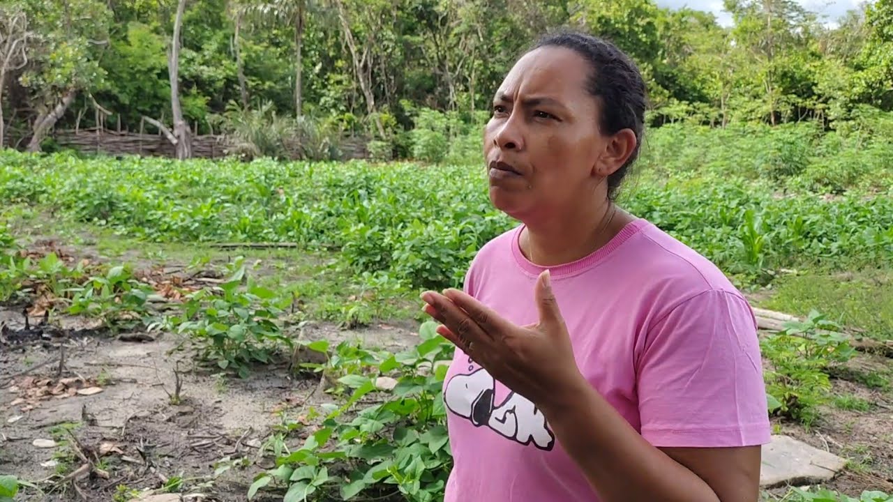 COMO SERÁ QUE JÁ ESTÁ OS LEGUMES DA ROCINHA DO CANAL ILEIDA CROCHÊ| VEJA