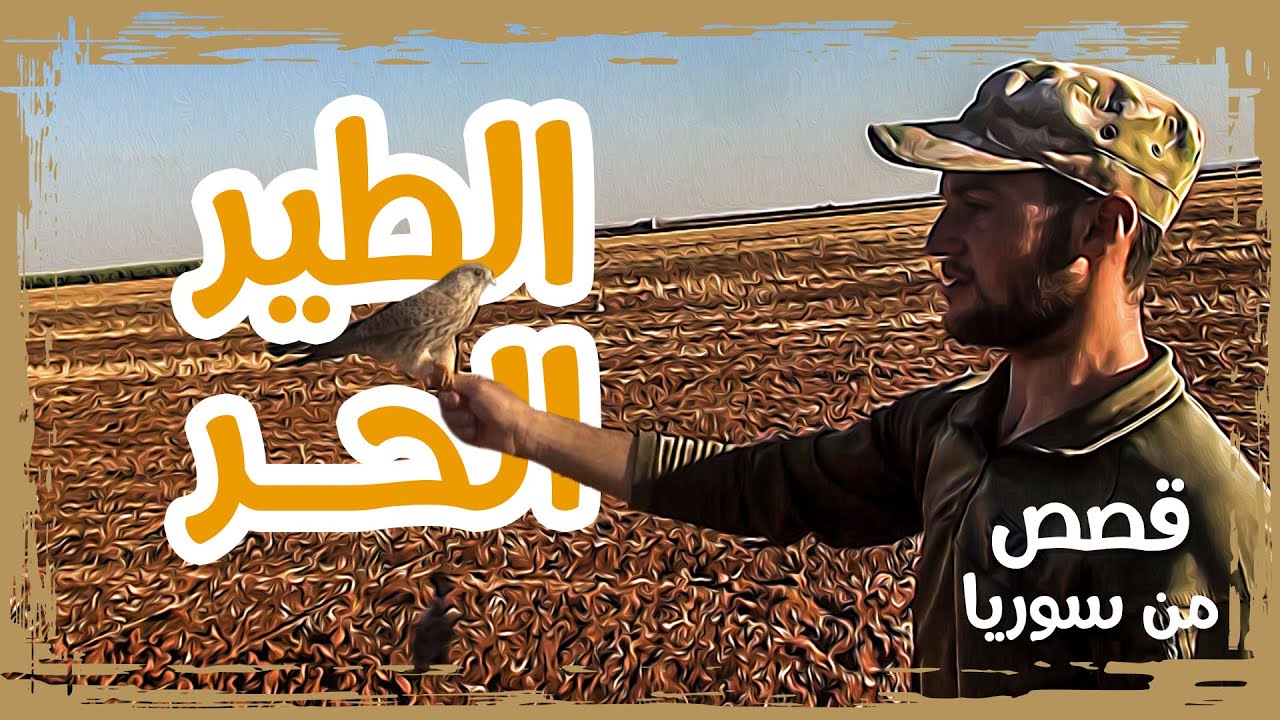 موسم الطير الحر في ريف إدلب