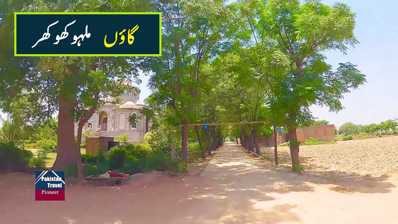 Punjab village life | Malho Khokhar, Gujrat | ملہو کھوکھر