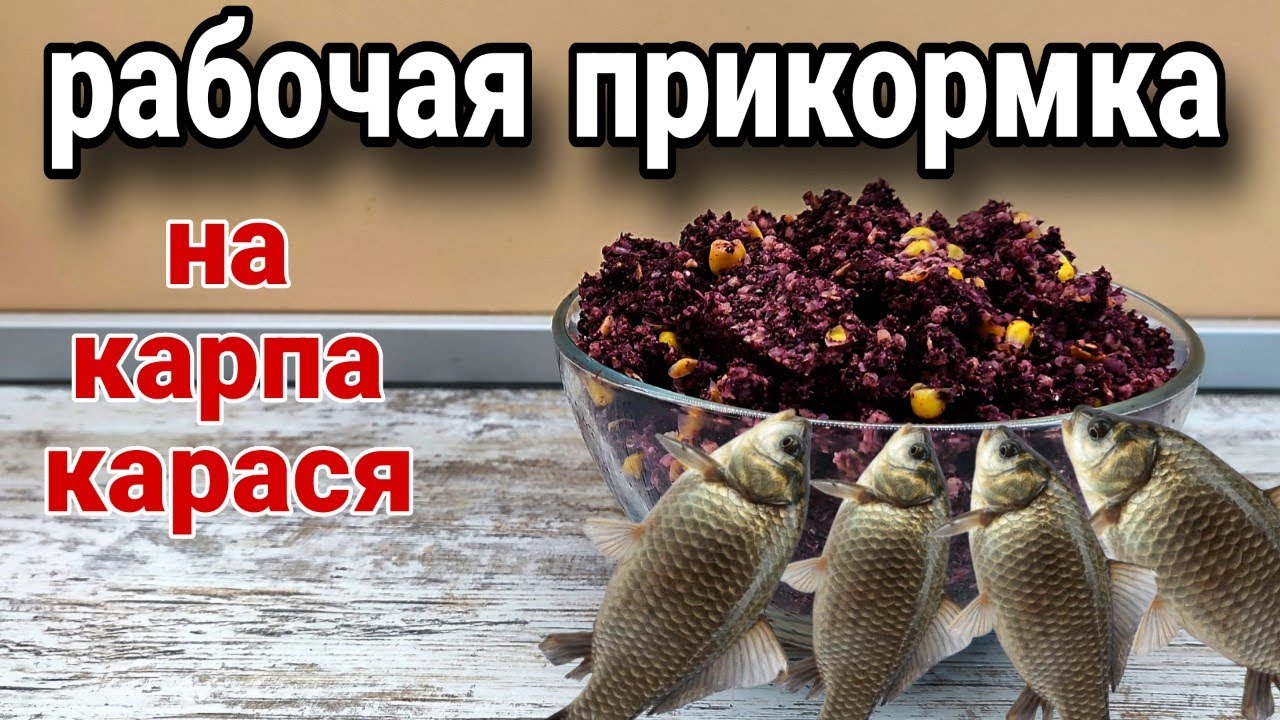 ЛУЧШАЯ ЛЕТНЯЯ ПРИКОРМКА для ловли карася и карпа!!! Дешевый рецепт