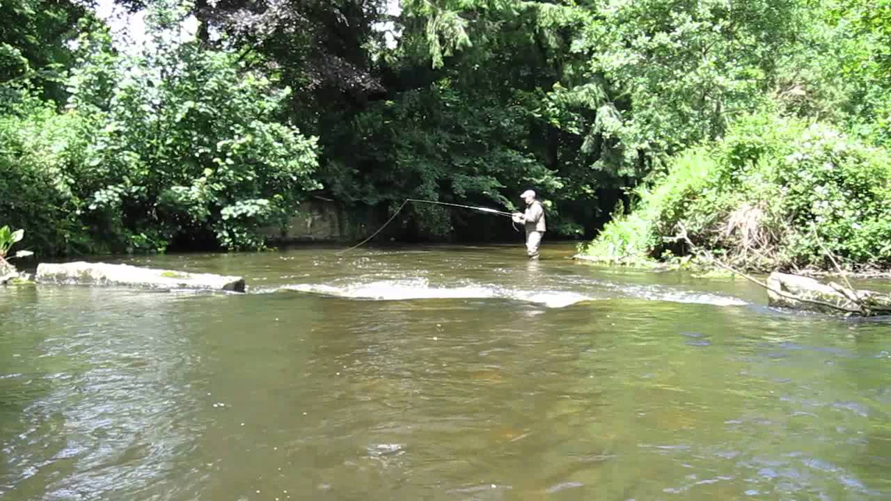 Fly fishing for Trout & Grayling, River Lyd, Devon