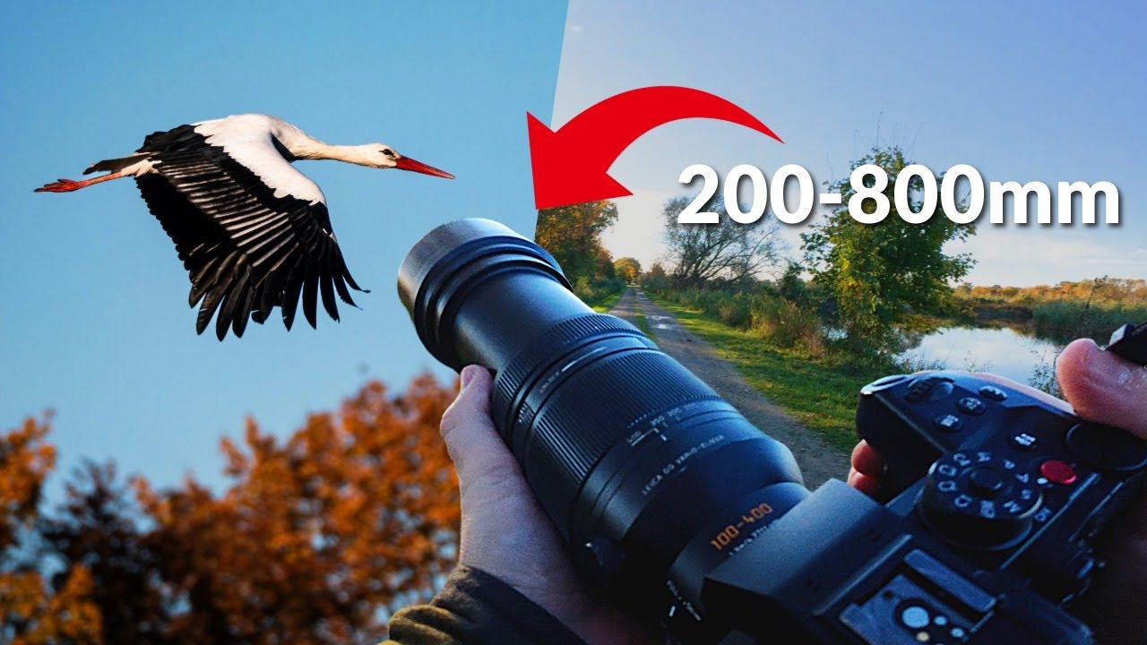 POV Nature Photography Walk | Birds, Wildlife & Autumn Vibes | Lumix GH7 + Leica 100&ndash;400mm #asmr