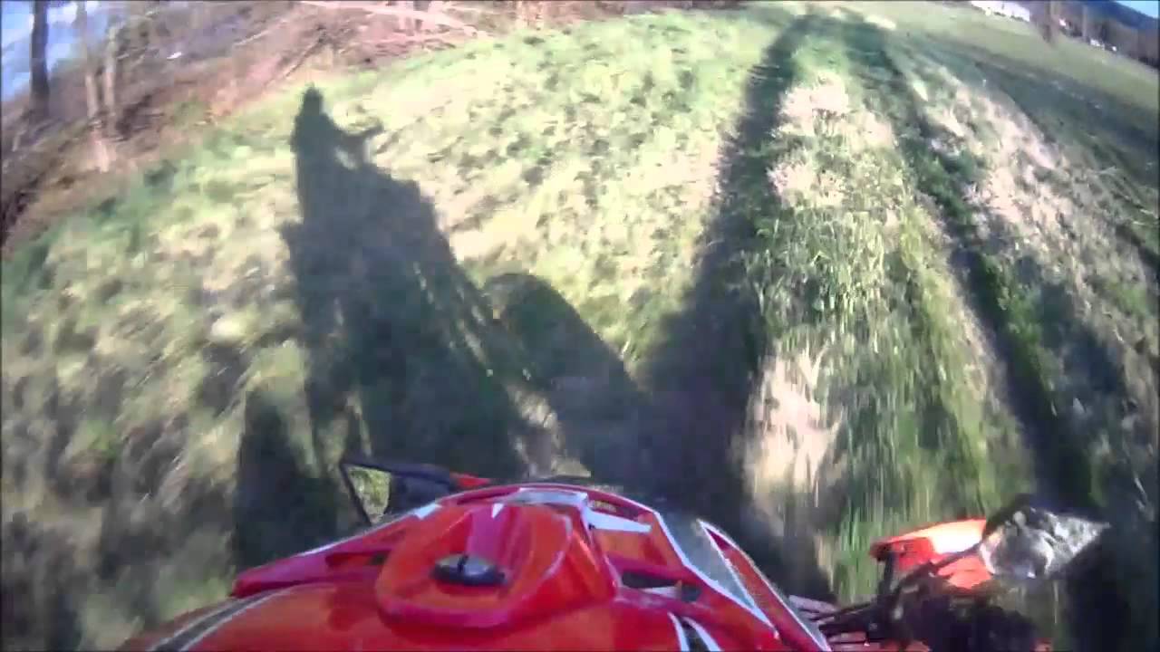 quad EGL maddix 50cc