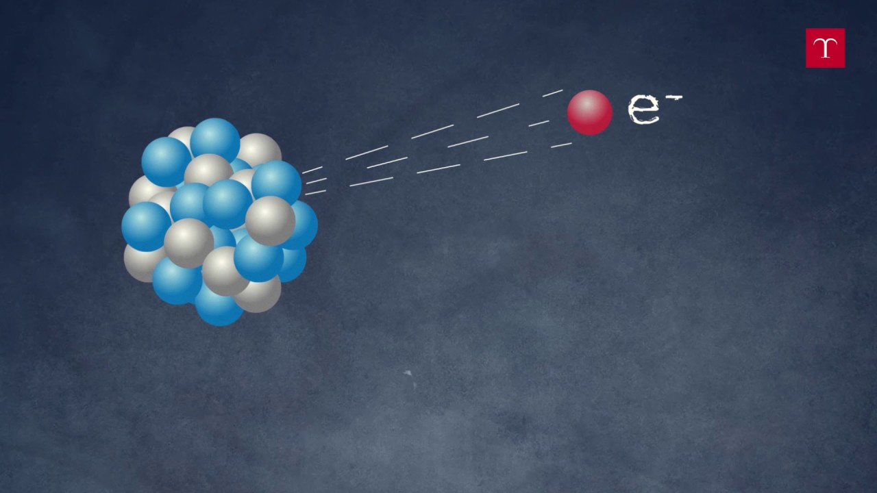 La fissione nucleare - Fissione e fusione nucleare