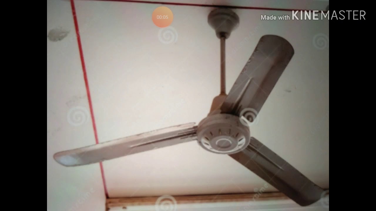 Abused ceiling fans