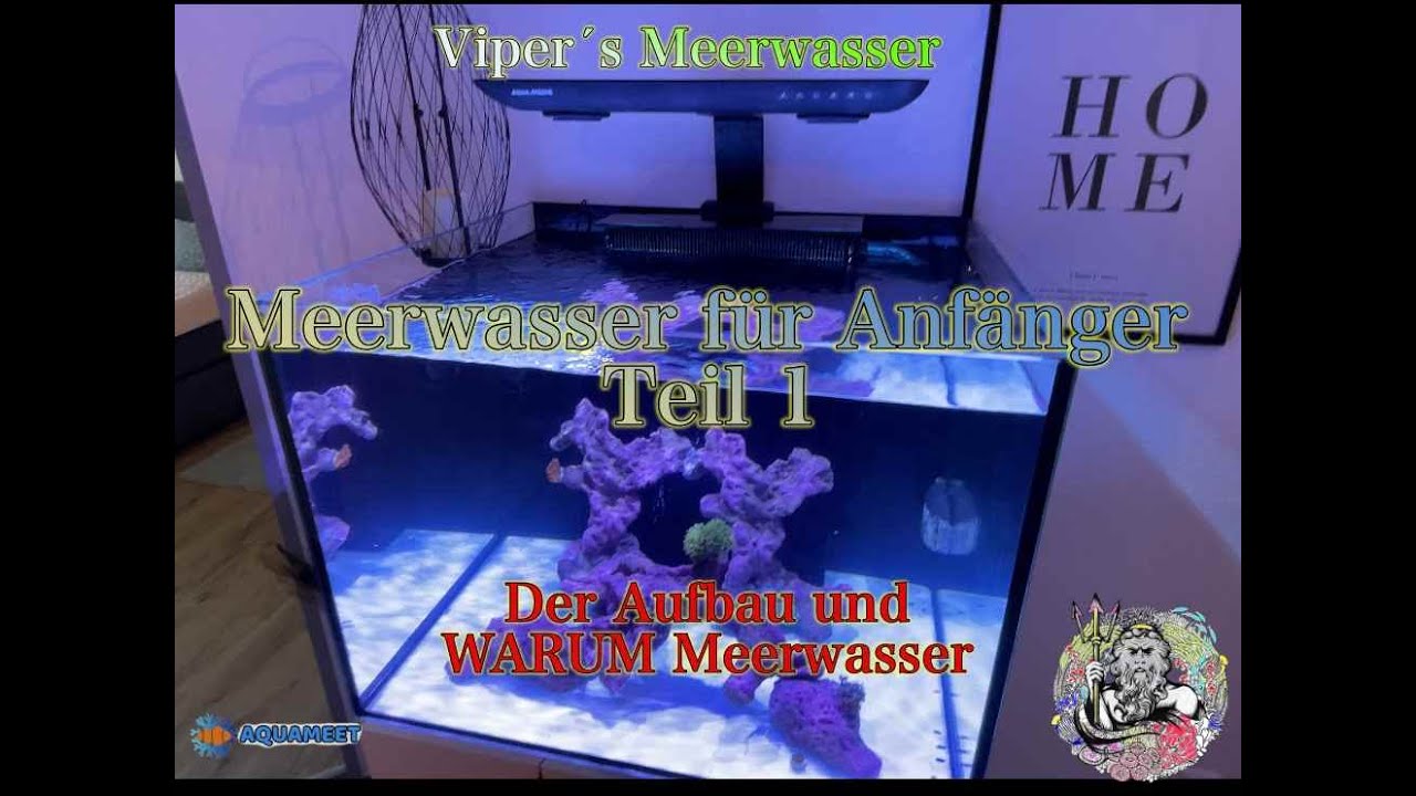 Meerwasser für Anfänger Teil 1 Der Aufbau