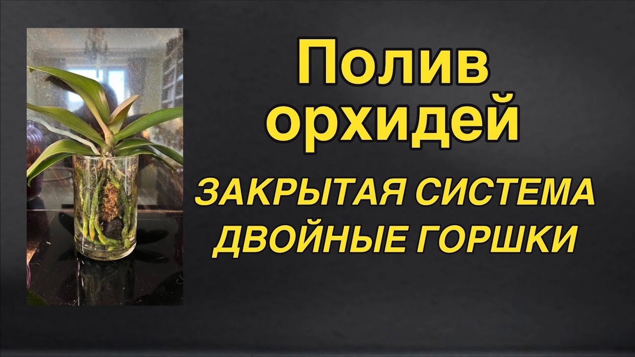 Секреты здоровых корней в ЗАКРЫТОЙ СИСТЕМЕ 🔥🌸