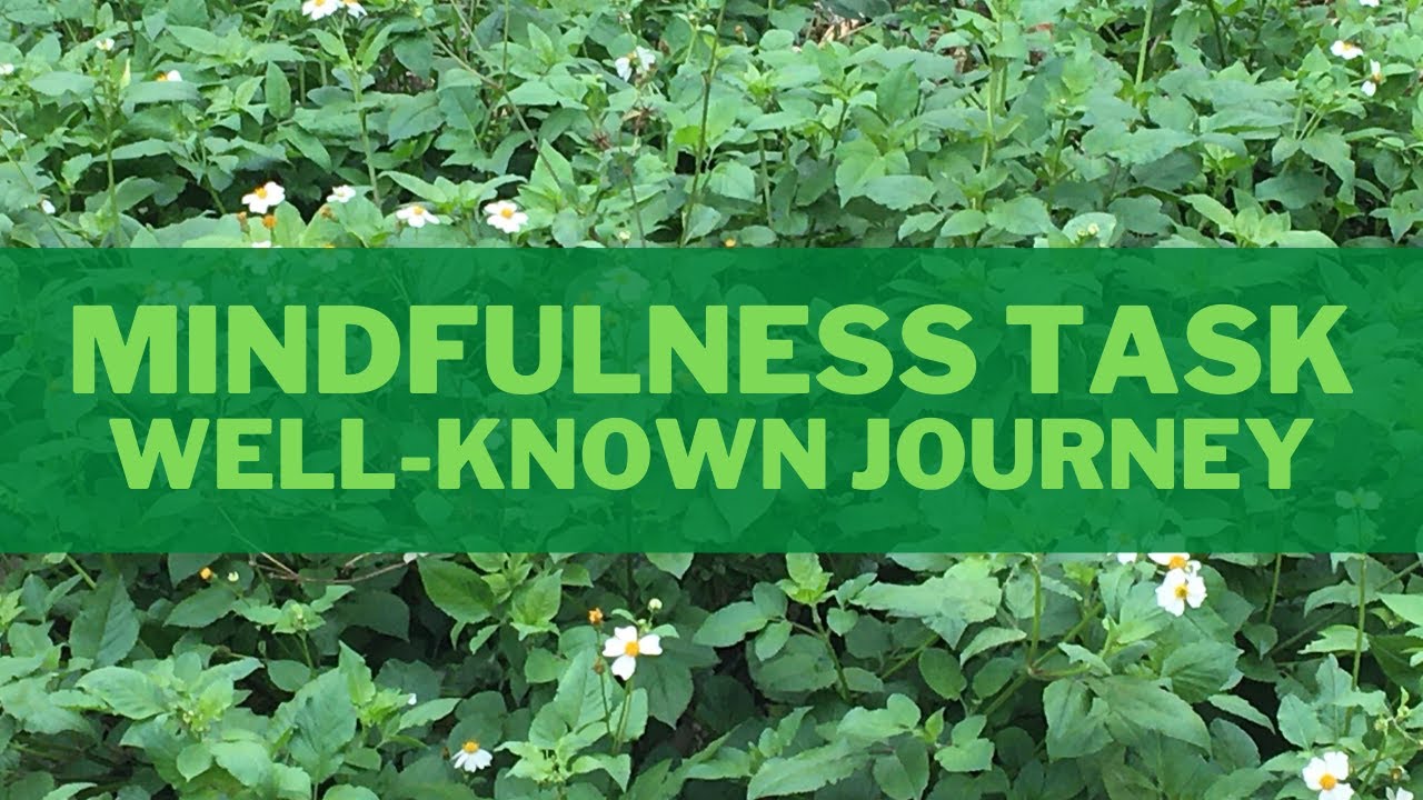 Practical Mindfulness video: Spotting new things on a well-known journey