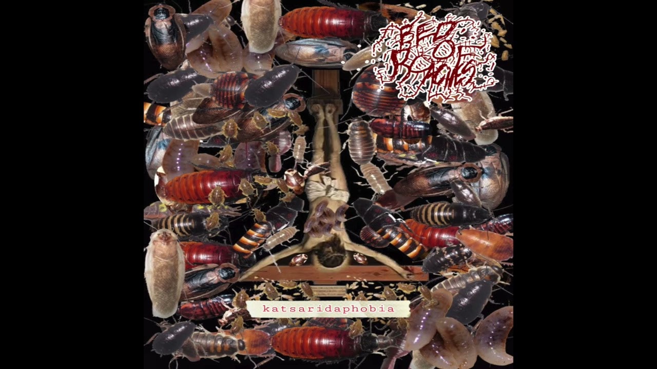 Bed of Roaches - Katsaridaphobia [Full Album] (Mincegore)
