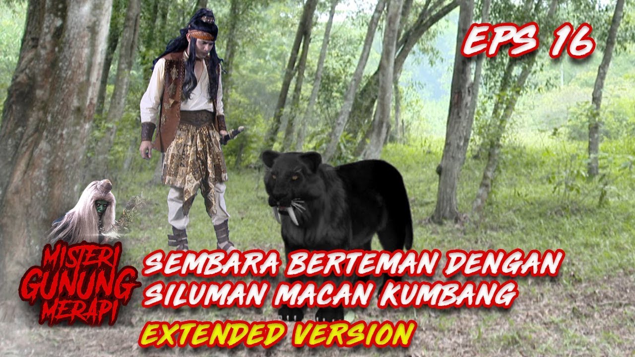 Wuihhh Hebat! Akhirnya Sembara dan Macan Kumbang Ini Berteman Part 2  - Misteri Gunung Merapi Eps 16