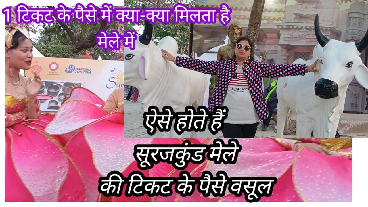 मेले की टिकट के पैसे कैसे वसूल होते हैं, सूरजकुंड अंतर्राष्ट्रीय शिल्प मेला 2026 @Mini Maheshwari 