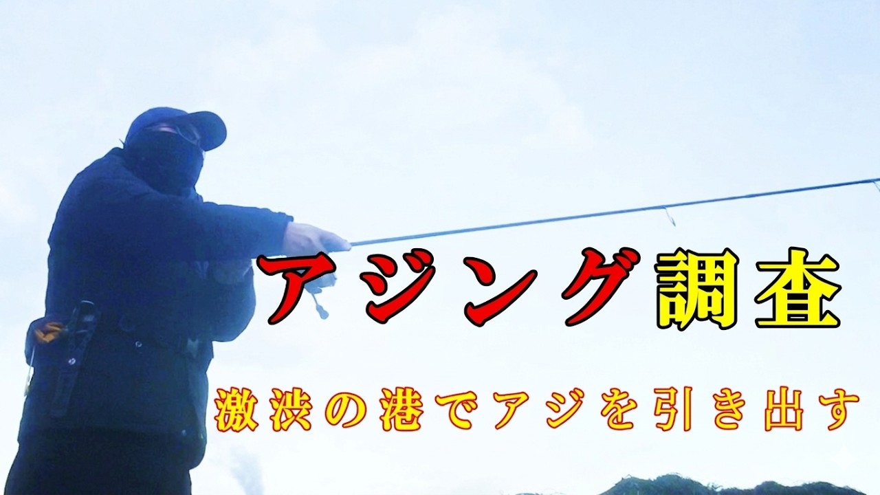 冬の大分県の港でアジング調査