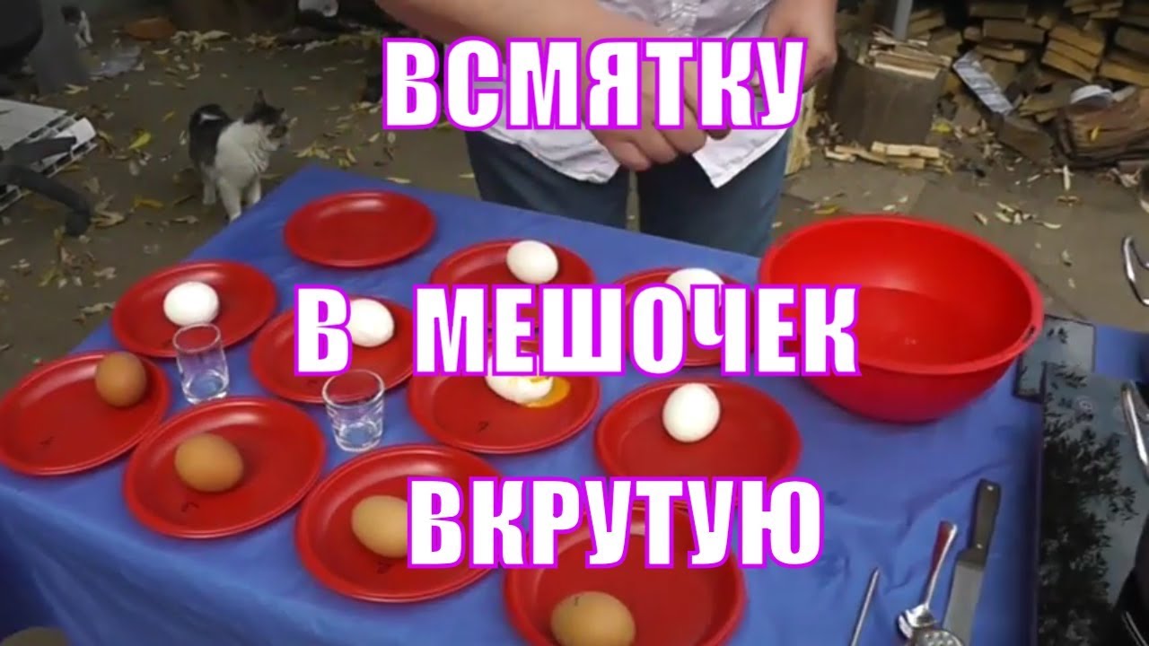 Сколько варить яйца всмятку, в мешочек, вкрутую? Надежный способ.