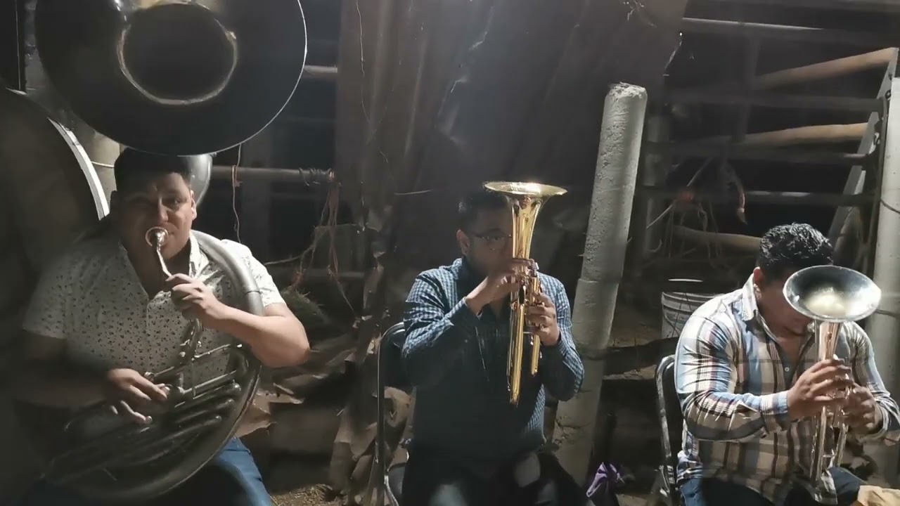 Que bonito toca la tuba
