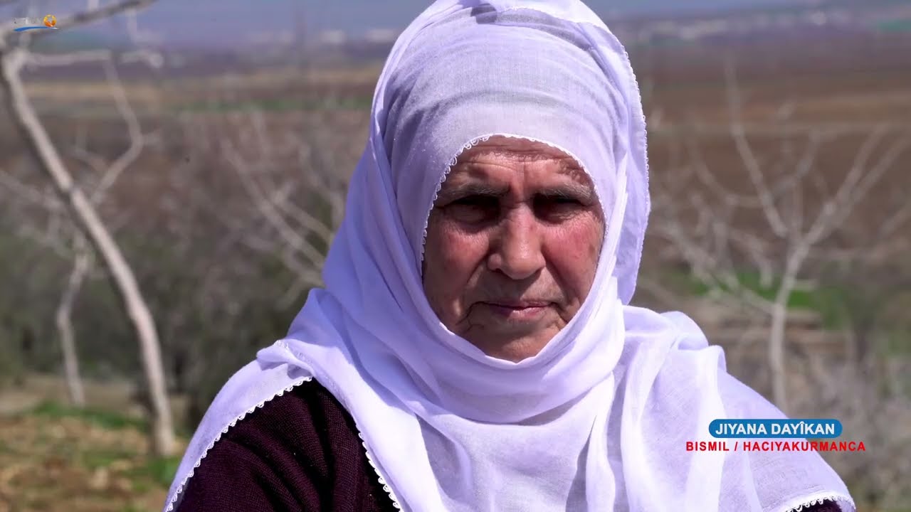 Jiyana Dayikan, Amed, jin, dayik, Stêrk TV